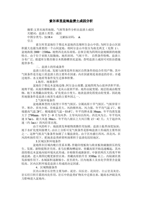 索尔库里盆地盐渍土成因分析