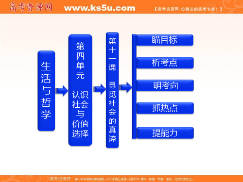 高考政治一轮复习课件：生活与哲学 第四单元 第十一课 寻觅社会的真谛