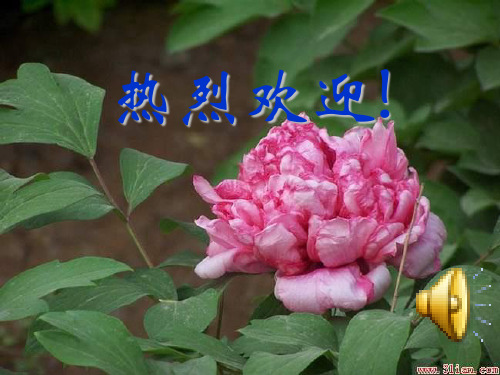 宽容主题班会课件ppt.ppt