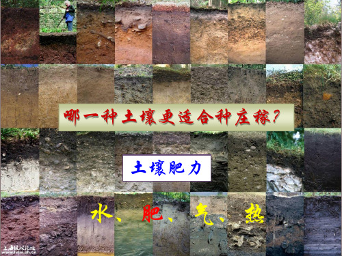 土壤肥料学：第六章 植物营养与施肥基础理论