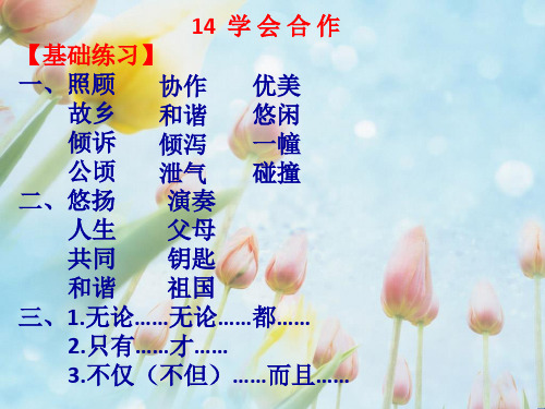 苏教版六年级语文下册《练习与测试》14学会合作答案评讲PPT课件
