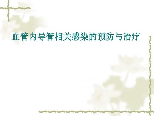 血管内导管相关感染的预防与治疗ppt课件