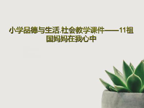 小学品德与生活.社会教学课件——11祖国妈妈在我心中21页PPT