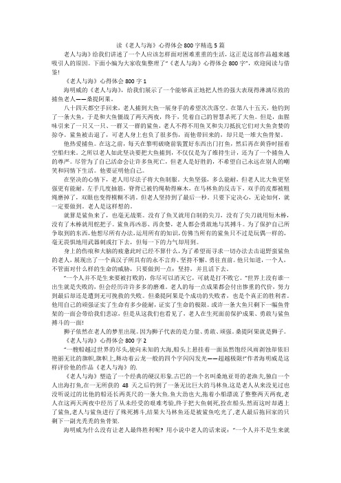 读《老人与海》心得体会800字精选5篇