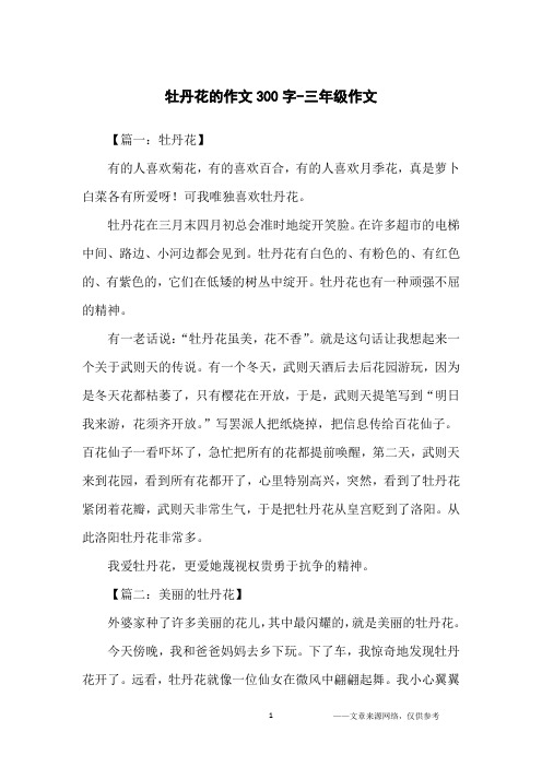 牡丹花的作文300字-三年级作文