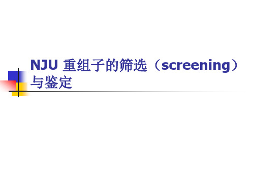 重组子的筛选与鉴定