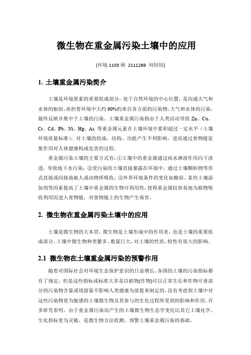 微生物在重金属污染土壤中的应用