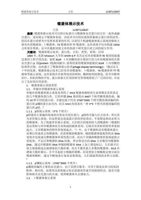 噬菌体展示技术
