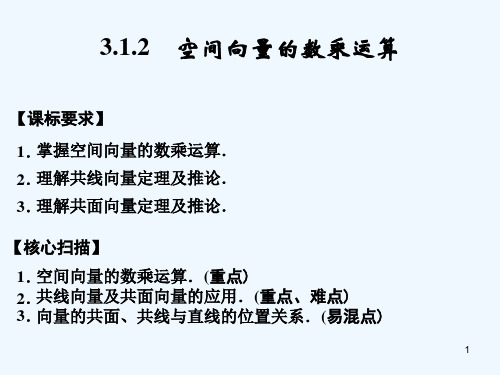 (新课程)高中数学《3.1.2 空间向量的数乘运算》课件 新人教A版选修2-1