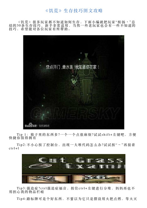 《饥荒》生存技巧图文攻略