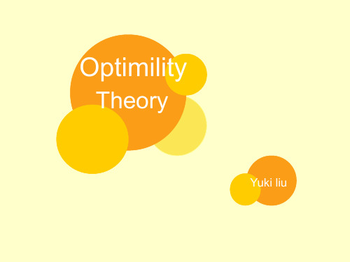 optimality theory