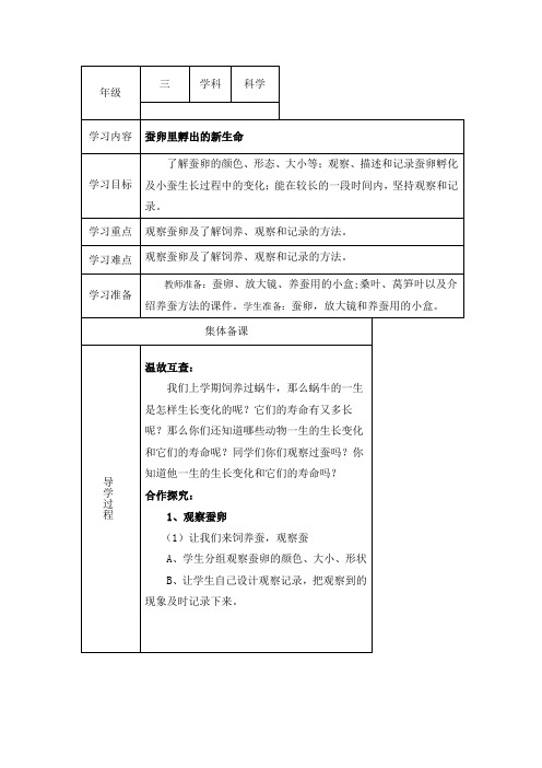 2-1蚕卵里孵出的新生命