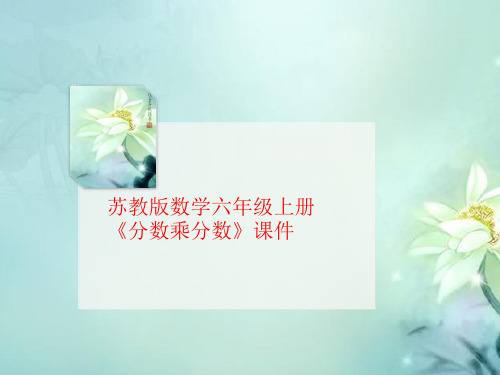 苏教版数学六年级上册《分数乘分数》课件-PPT文档资料