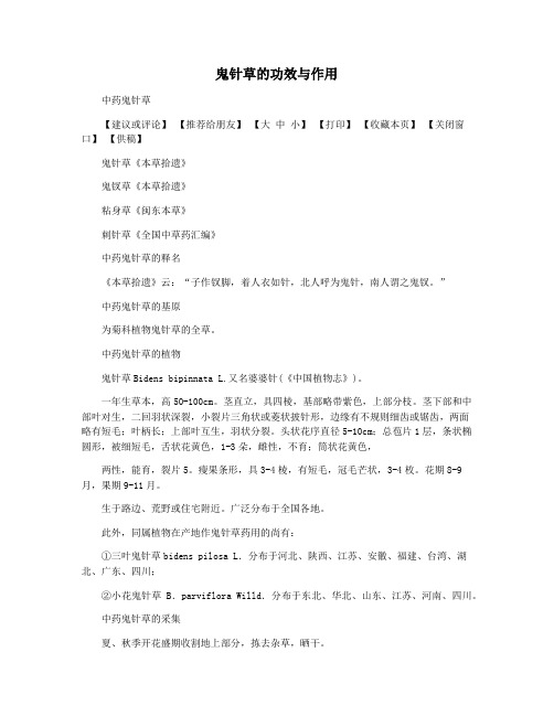 鬼针草的功效与作用