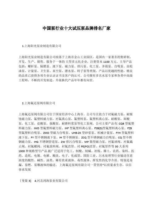 中国泵行业十大试压泵品牌排名厂家