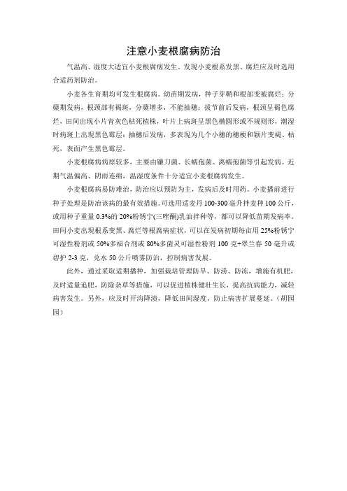 注意防治小麦根腐病