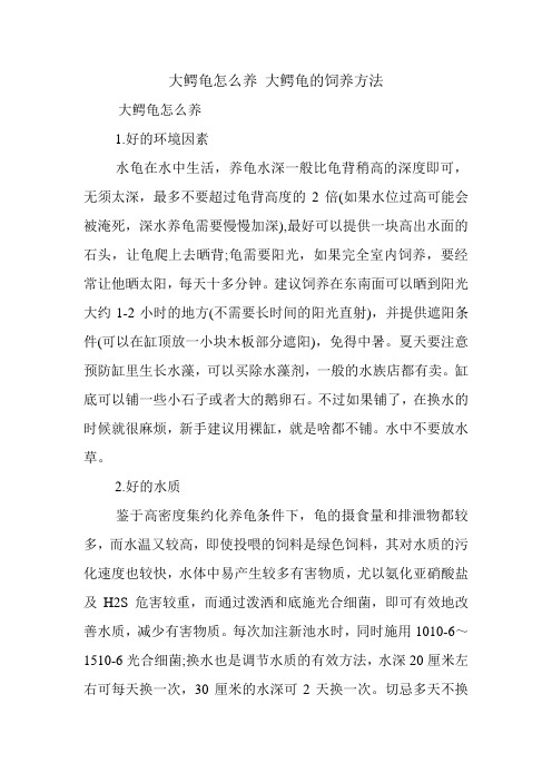 大鳄龟怎么养 大鳄龟的饲养方法