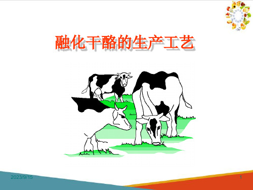 乳制品生产技术—奶酪生产技术(食品生产技术课件)