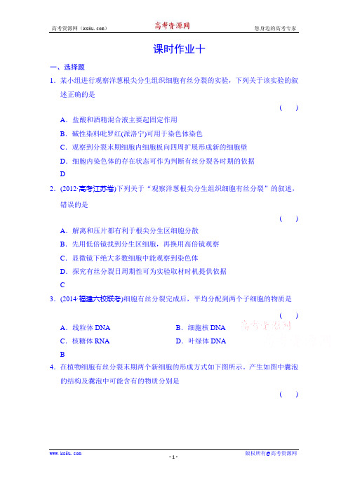 高考语文(新课标人教版)一轮总复习 课时作业10.doc