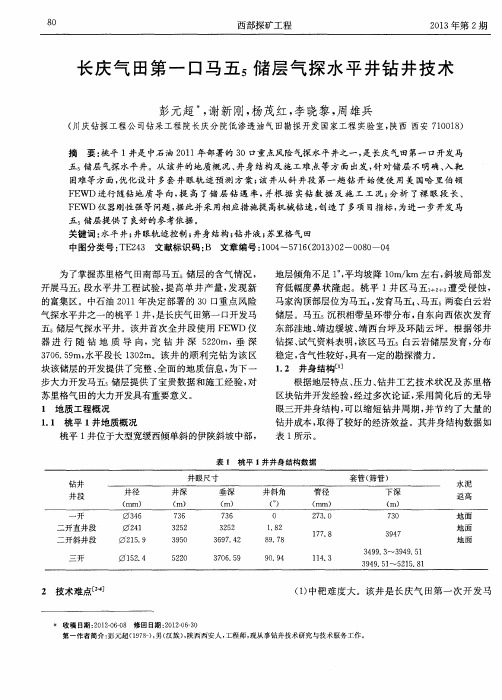 长庆气田第一口马五5储层气探水平井钻井技术