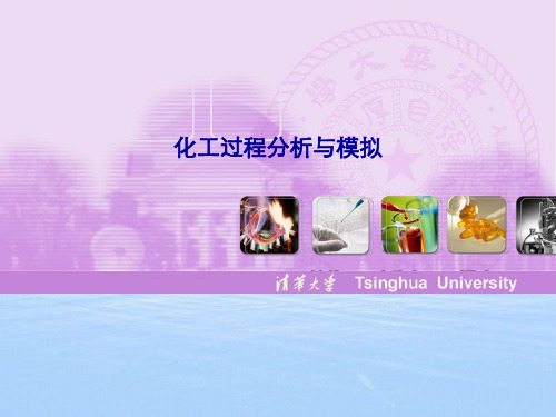 化工过程分析与模拟精选优质 PPT