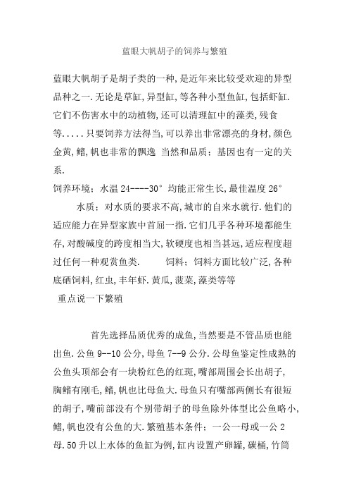蓝眼大帆胡子的饲养与繁殖
