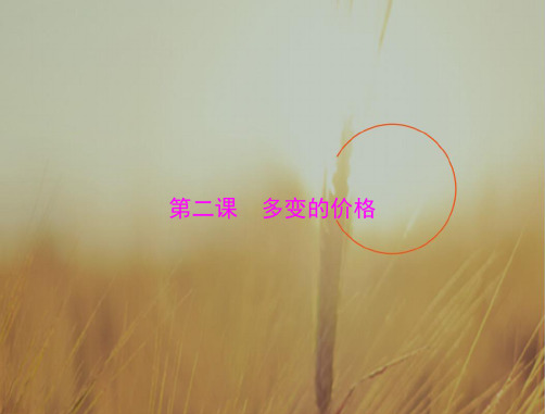 2019版高考政治新课堂一轮复习实用课件：第一部分 必修1 第一单元 第二课 多变的价格 精品