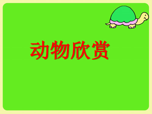 大班《动物欣赏》动物园的动物PPT课件