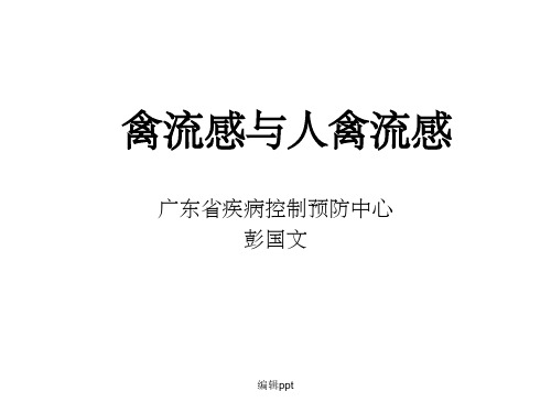 禽流感与人禽流感