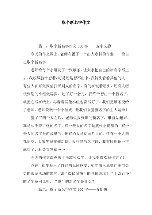 取个新名字作文