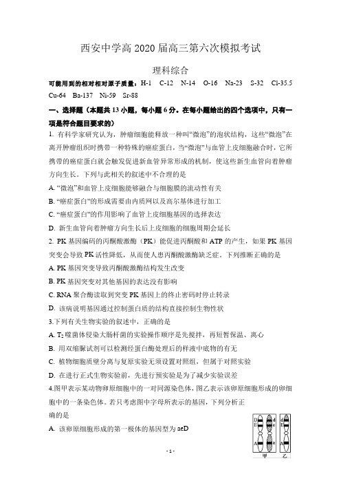 2020西安中学六模 陕西省西安中学2020届高三第六次模拟考试理科综合试题 Word版含答案