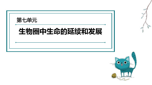 人教版八年级下册生物 第七单元 生物圈中生命的延续和发展 复习课件(共49页)