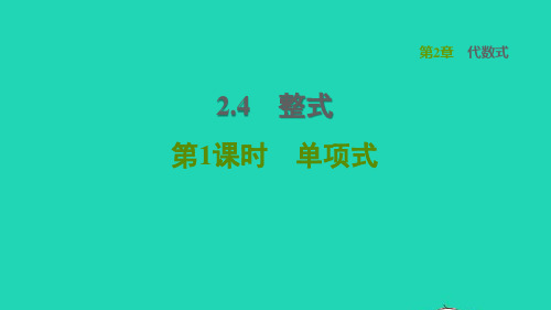 七上第2章代数式2、4整式第1课时单项式习题湘教版