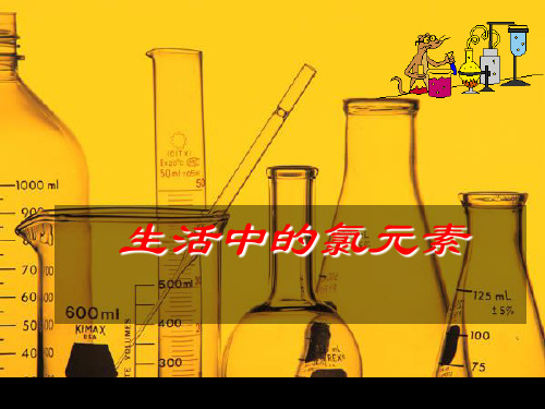 生活中的氯元素ppt