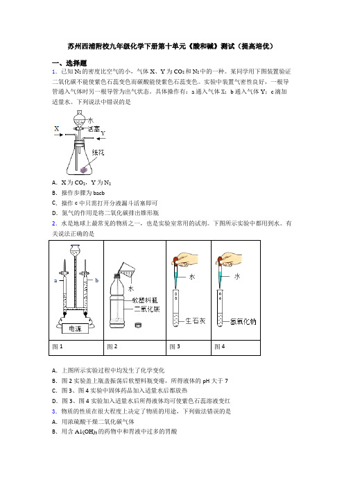 苏州西浦附校九年级化学下册第十单元《酸和碱》测试(提高培优)