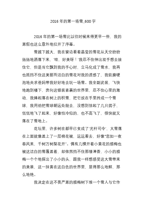 2016年的第一场雪_600字