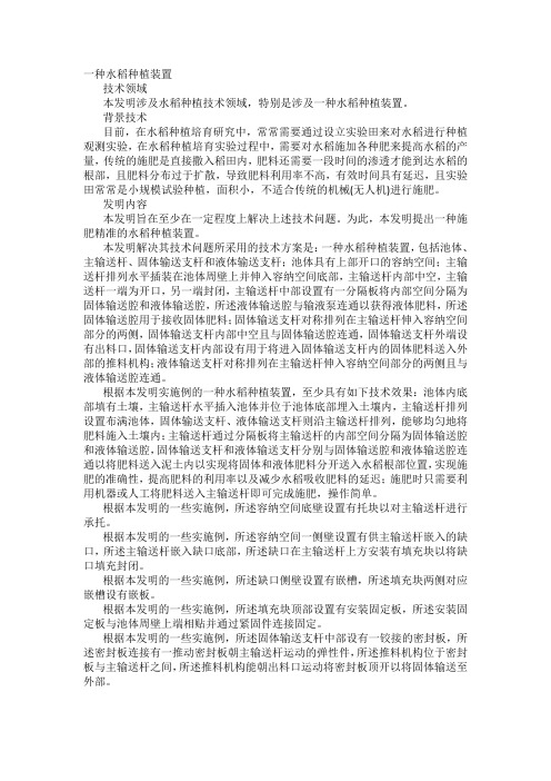 一种水稻种植装置发明专利