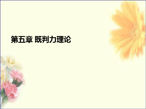 民事诉讼法 第五章 既判力理论