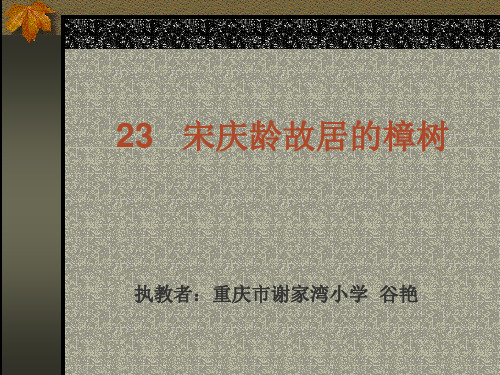宋庆龄故居的樟树课件