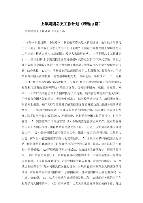 上学期团总支工作计划(精选3篇)