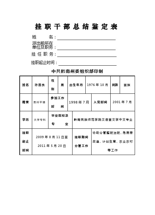 挂职干部总结鉴定表