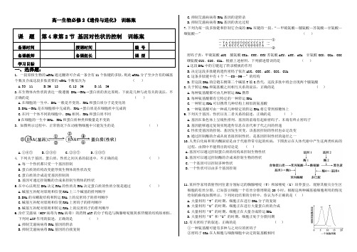 高一生物(人教版)必修2第4章第2节《基因对性状的控制》训练案和答案