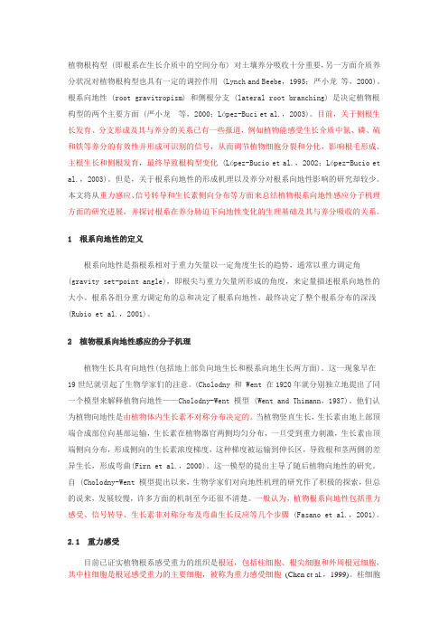 植物根系向地性感应的分子机理与养分吸收