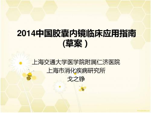 10月10日2014中国胶囊内镜临床应用指南(解读)戈之铮