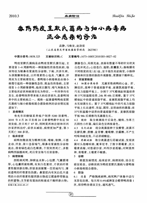 番鸭鸭疫里默氏菌病与细小病毒病混合感染的诊治