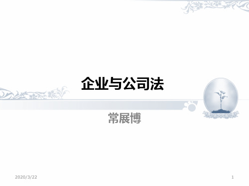 企业公司法--PPT课件