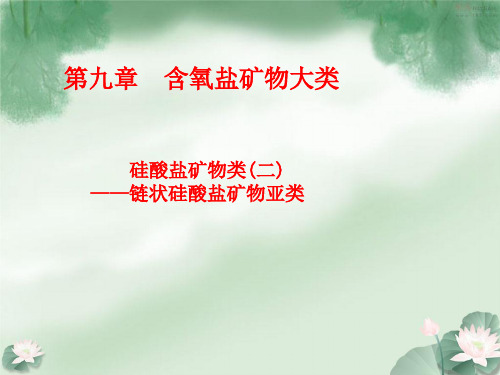 8第八讲链状硅酸盐