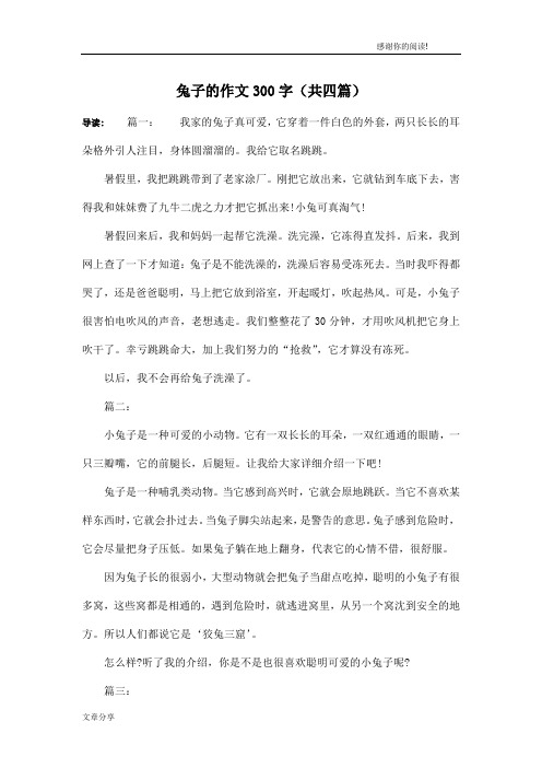 兔子的作文300字(共四篇)