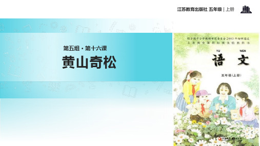 2021小学语文苏教版五年级上册《黄山奇松》教学课件