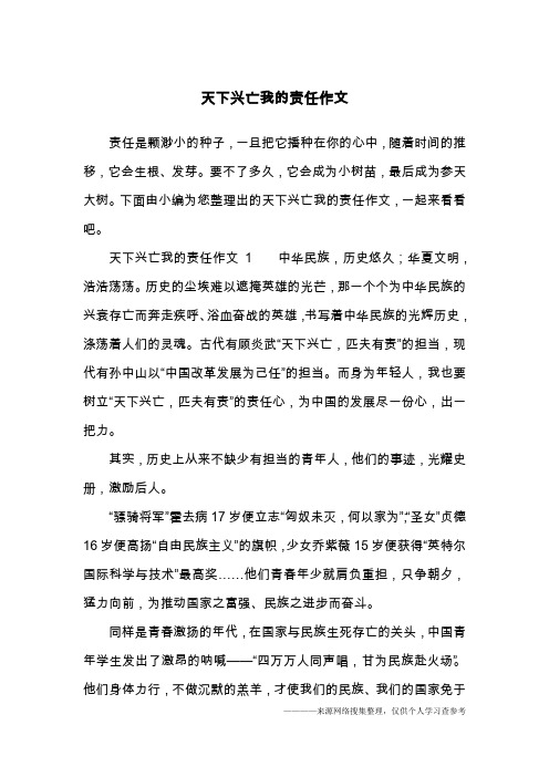 天下兴亡我的责任作文